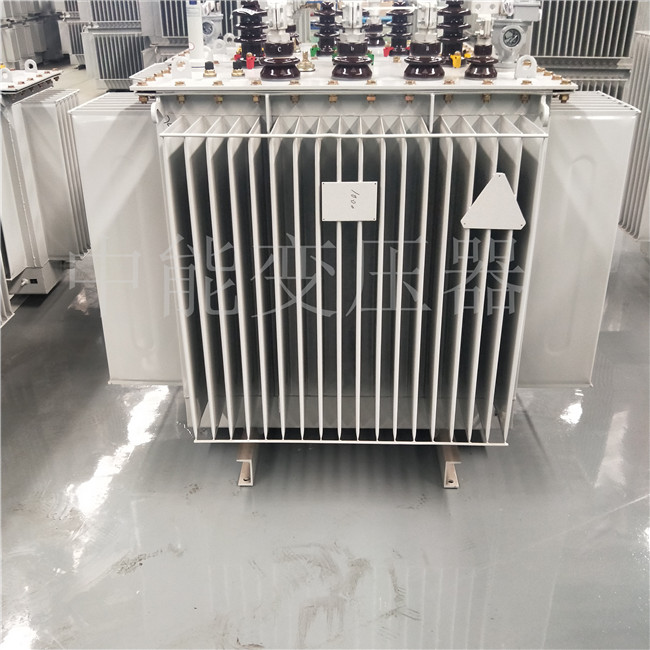 大观S20-1600KVA/10KV变压器
