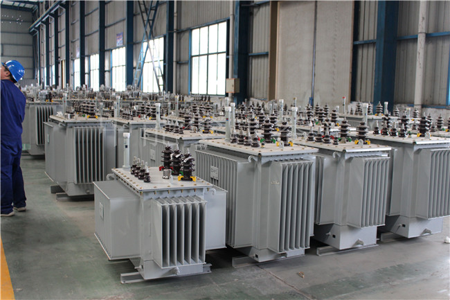 大观S22-1000KVA/10KV变压器